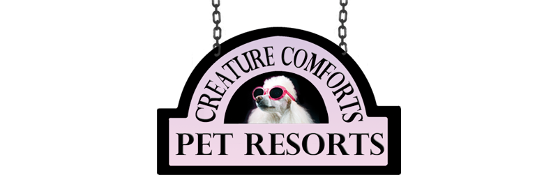 Creature Comforts Pet Resorts
